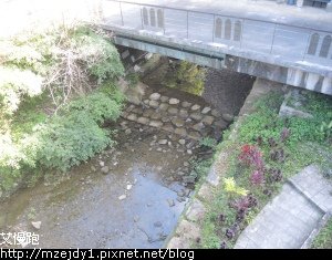 DSCN2202.JPG