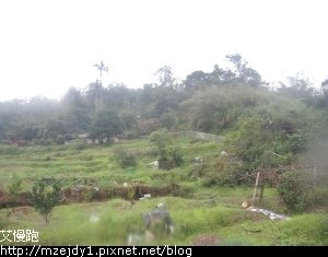 DSCN1377.JPG