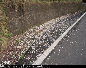 DSCN2689.JPG
