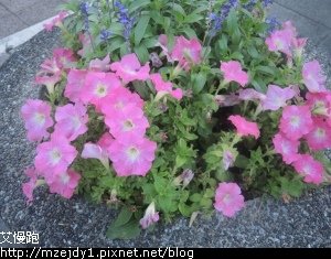 DSCN3698.JPG