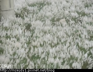 DSCN7735.JPG