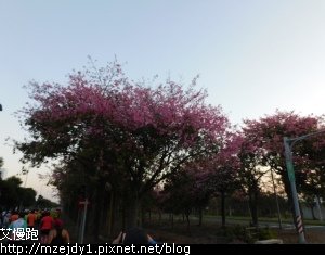 DSCN2315.JPG