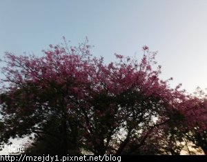DSCN2316.JPG