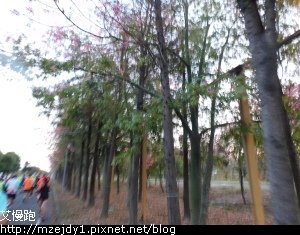 DSCN2317.JPG