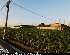 DSCN2365.JPG