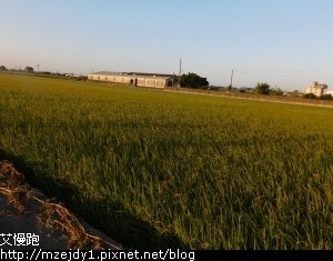 DSCN2367.JPG