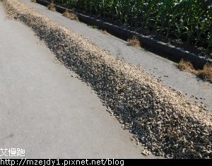 DSCN2503.JPG