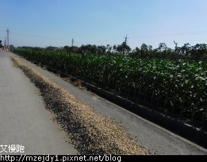 DSCN2502.JPG