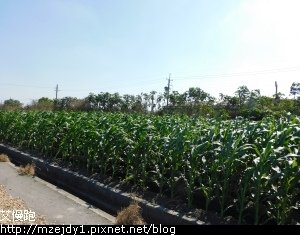 DSCN2504.JPG