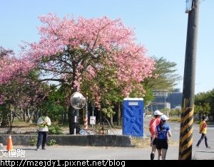 DSCN2517.JPG