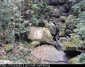 DSCN7631.JPG
