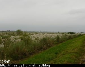DSCN0109.JPG