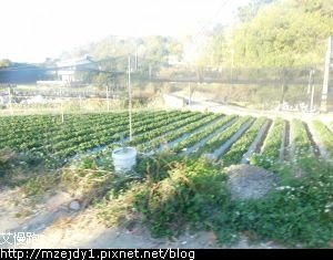 DSCN6890.JPG