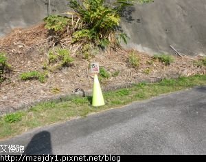 DSCN9956.JPG