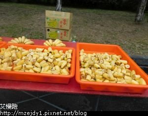 DSCN6631.JPG