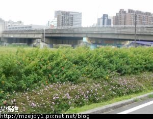 DSCN6824.JPG