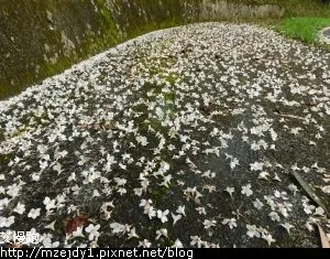 DSCN7886.JPG
