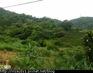 DSCN7934.JPG