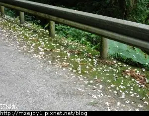 DSCN7936.JPG