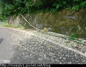 DSCN8295.JPG