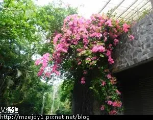 DSCN8302.JPG