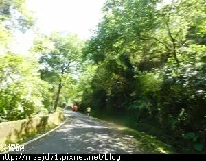 DSCN8471.JPG