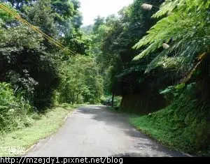 DSCN8484.JPG