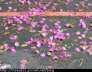 DSCN2745.JPG