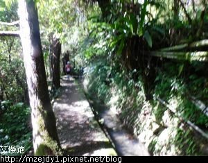 DSCN1656.JPG