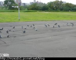 DSCN8019.JPG