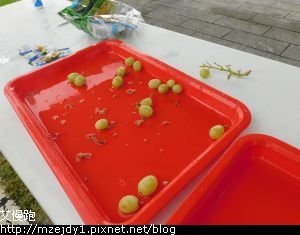 DSCN8167.JPG
