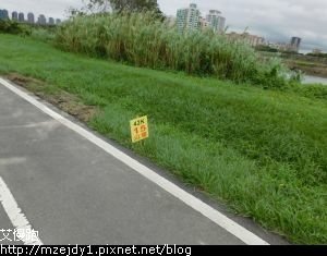 DSCN8245.JPG