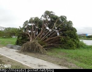 DSCN8252.JPG