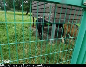 DSCN8347.JPG