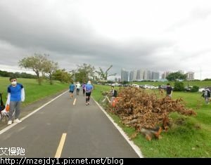 DSCN8542.JPG