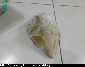 DSCN8586.JPG