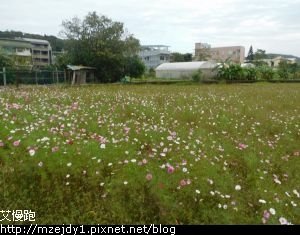 DSCN7505.JPG