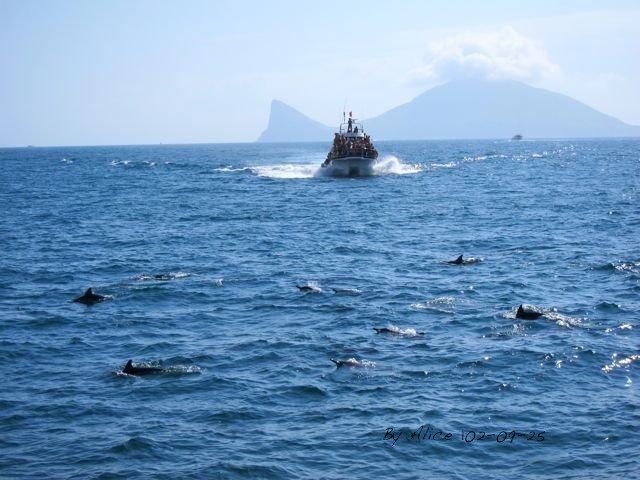 龜山島賞鯨