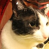 IMG_0422.JPG