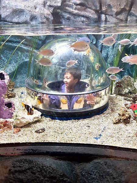 名古屋景點 樂高樂園攻略 親子景點推薦  設施 評價心得 交