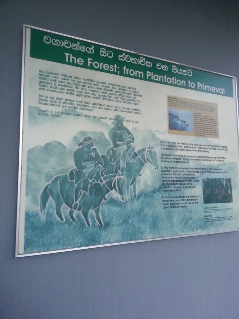 20130310_062833.jpg