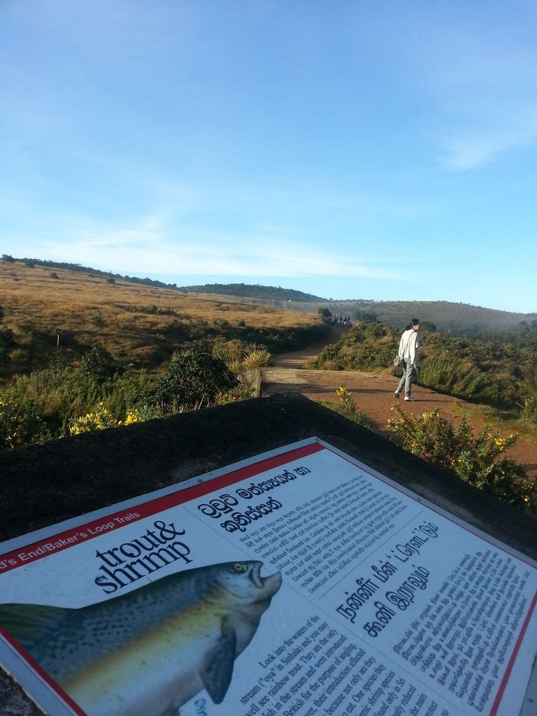 20130310_070414.jpg