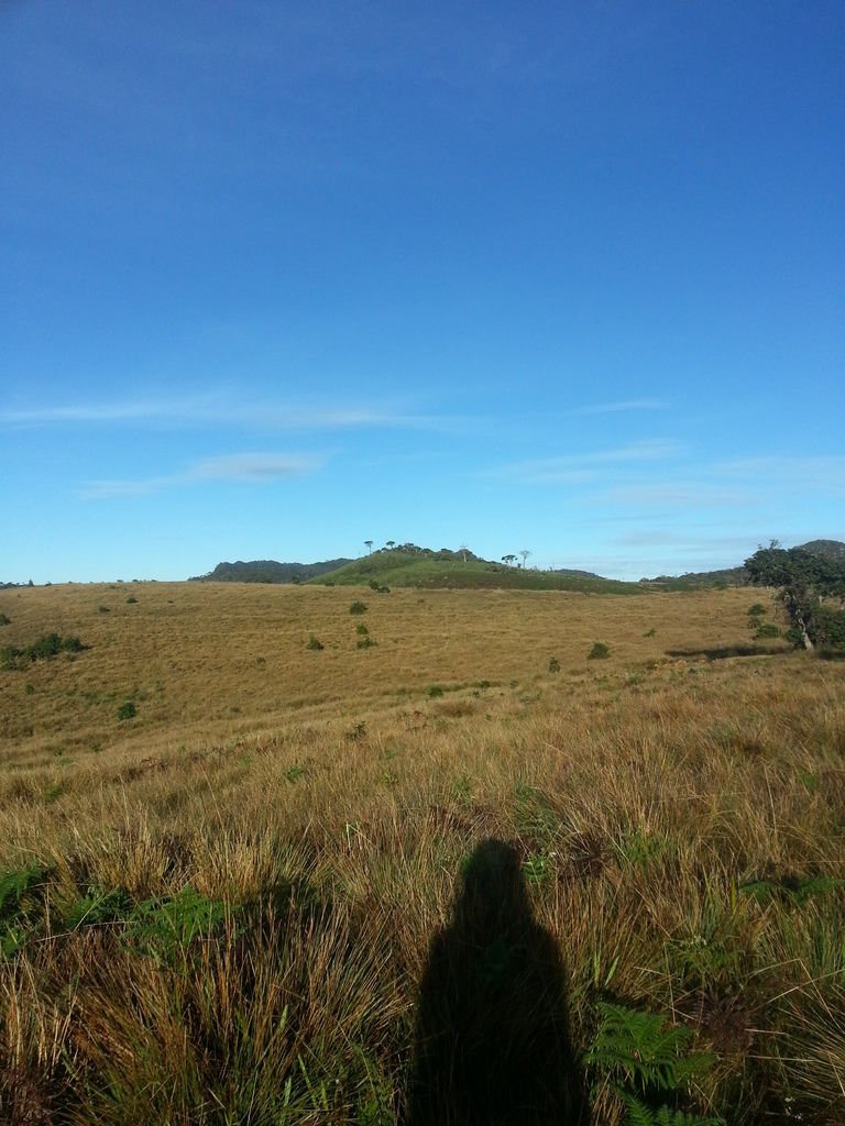 20130310_071830.jpg