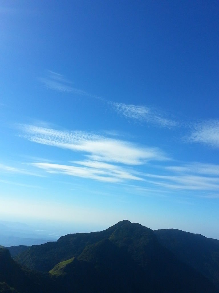 20130310_080033.jpg