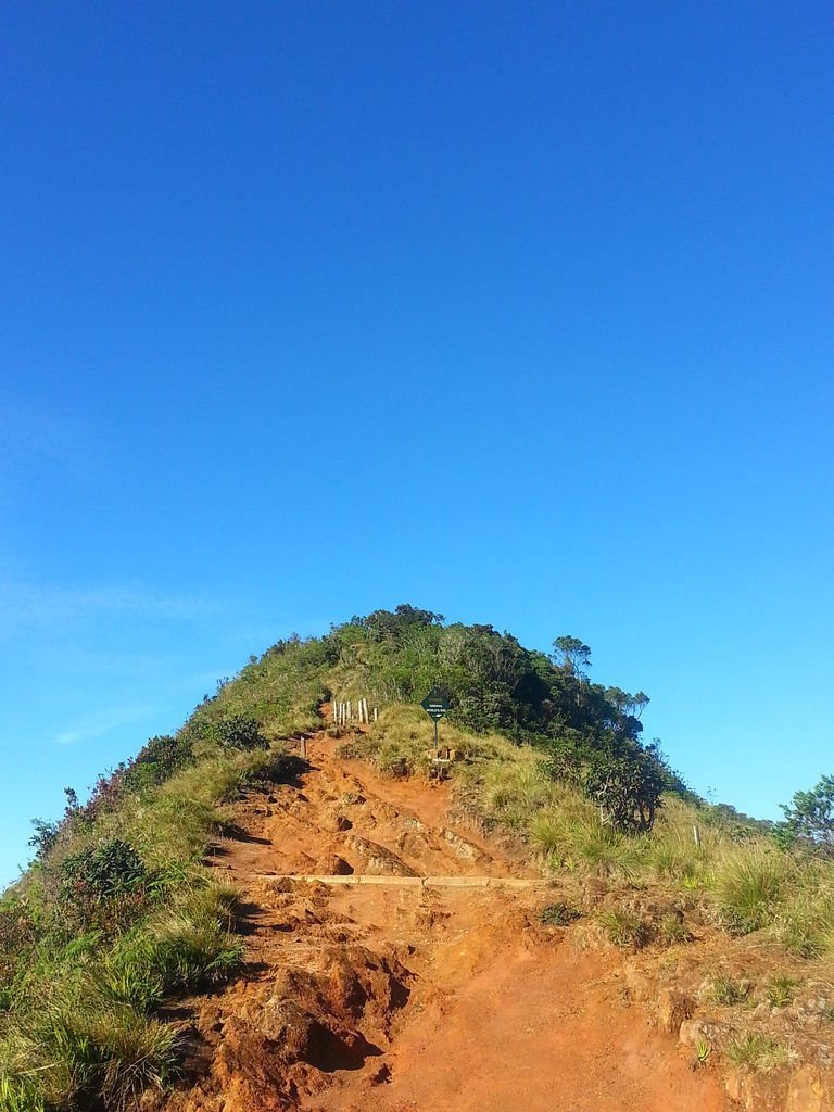 20130310_080640.jpg