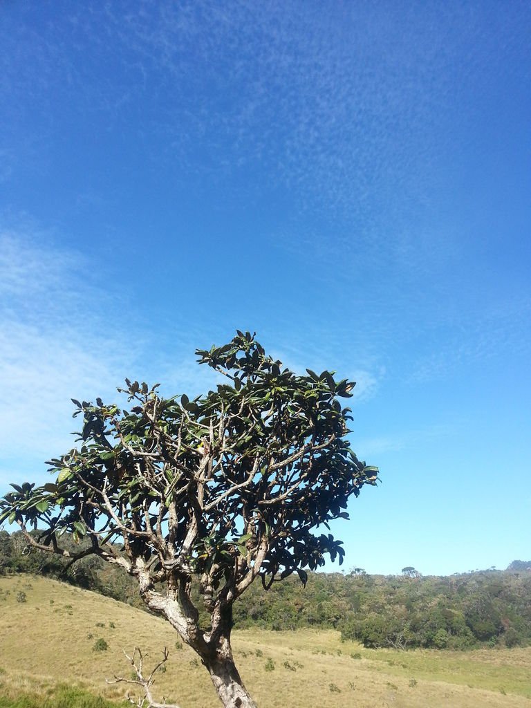 20130310_085727.jpg