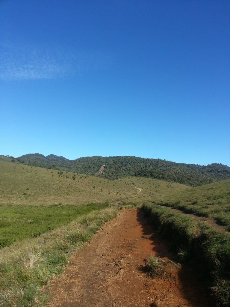 20130310_090009.jpg