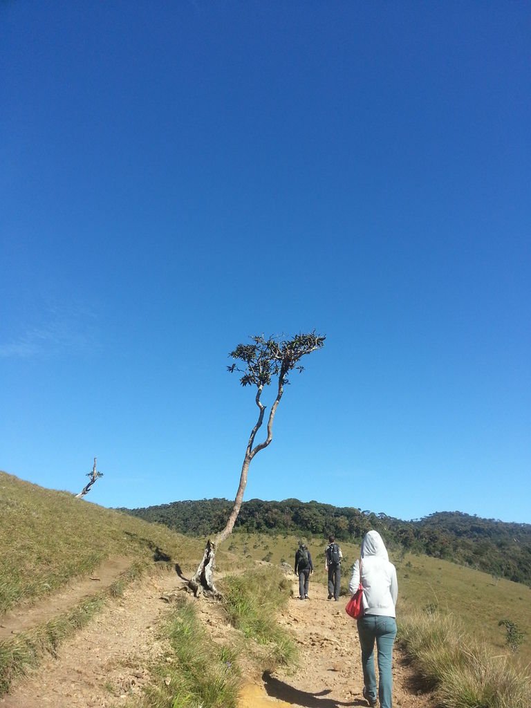 20130310_090501.jpg