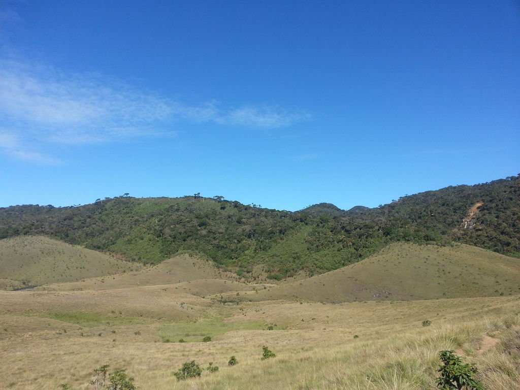 20130310_090946.jpg