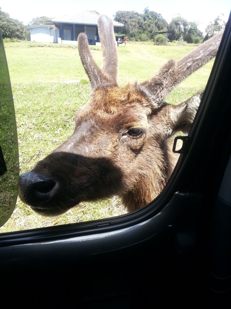 20130310_105912.jpg